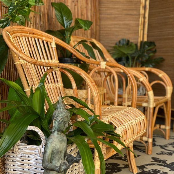 Chairs | Cane Chairs | Rattan Chair | Wicker Chairs | Cobra Cane